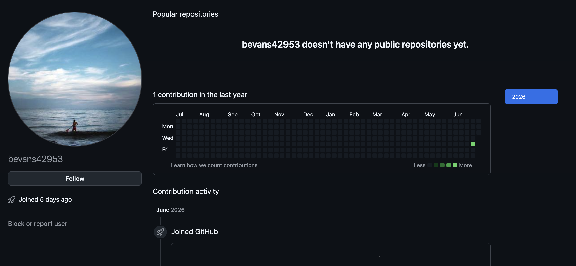 All publisher GitHub accounts show the same pattern like this bevans42953 profile with a stock photo, showing no public repositories and a recent join date