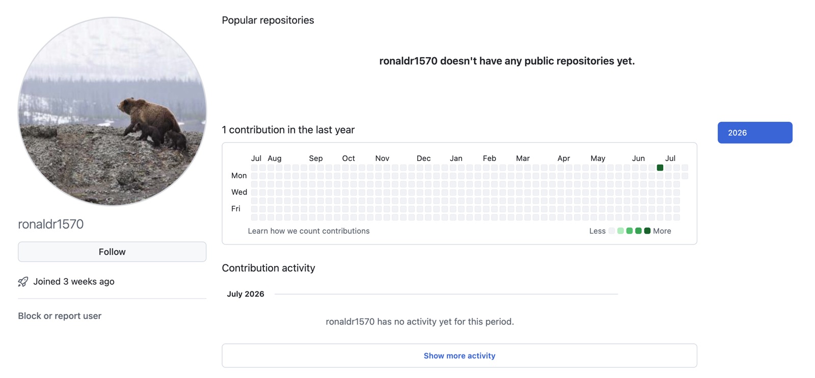 GitHub profile of a throwaway publisher account